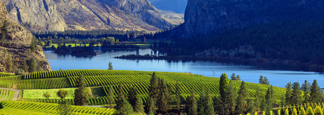 Noah Jigsaw Puzzle View of Blue Mountain Vineyard with McIntyre Bluff and Vaseux Lake in the background in the Okanagan Valley in Okanagan Falls, British Columbia, Canada panorama 1000 pieces