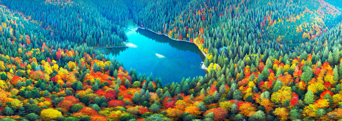 Noah Jigsaw Puzzle The famous Synevyr lake, a tourist attraction, in the Carpathians, Ukraine, autumn beech and coniferous forest, beautiful mountain landscape panorama 1000 pieces