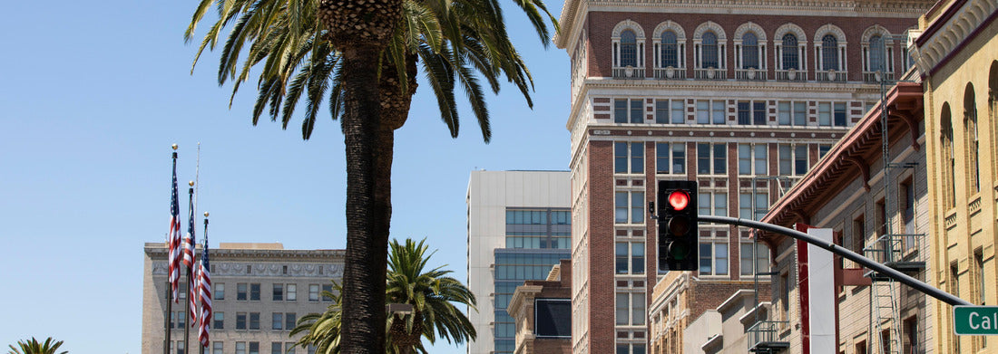 Noah Jigsaw Puzzle Daytime view of the downtown city center of Stockton, California, USA panorama 1000 pieces