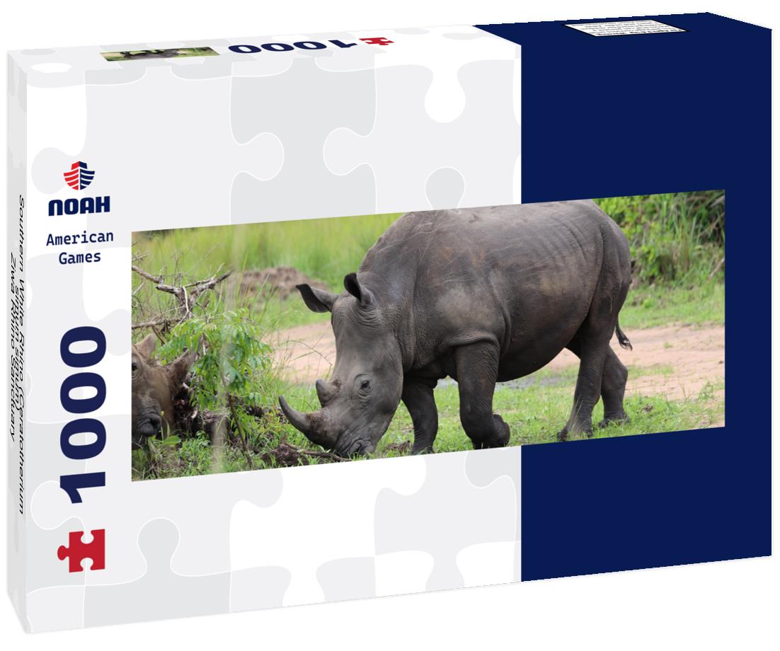Noah Jigsaw Puzzle Southern White Rhino (Ceratotherium simum simum) - Ziwa Rhino Sanctuary, Uganda, Africa panorama 1000 pieces