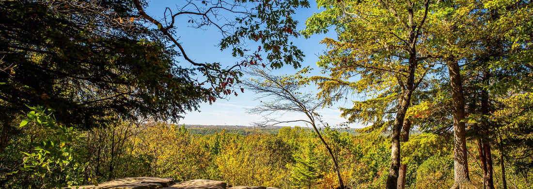 Noah Jigsaw Puzzle The Ledges Trail during Autumn leaf color change at Cuyahoga Valley National Park between Cleveland and Akron, Ohio panorama 1000 pieces