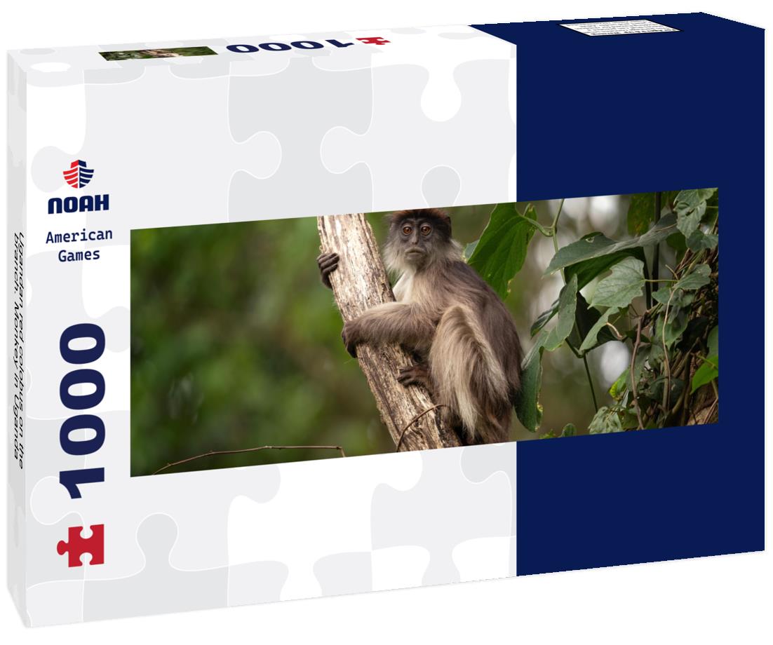 Noah Jigsaw Puzzle Ugandan red colobus on the branch. Monkey in Uganda panorama 1000 pieces