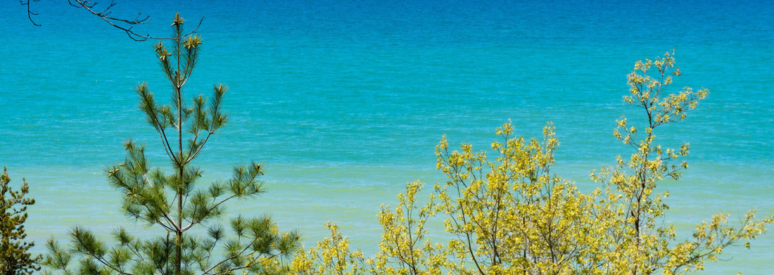 Noah Jigsaw Puzzle Indiana Dunes National Park, Indiana, USA. The views of Lake Michigan and the sand dunes are popular beach and hiking attractions panorama 1000 pieces