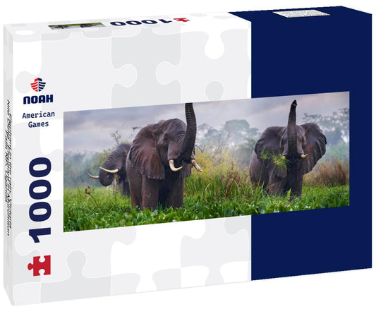 Noah Jigsaw Puzzle Elephant in the rain, Victoria Nile Delta. Elephant in Murchison Falls NP, Uganda panorama 1000 pieces