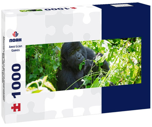 Noah Jigsaw Puzzle Mountain gorilla in Bwindi Impenetrable National Park. Gorilla in natural habitat. Wildlife in Uganda panorama 1000 pieces