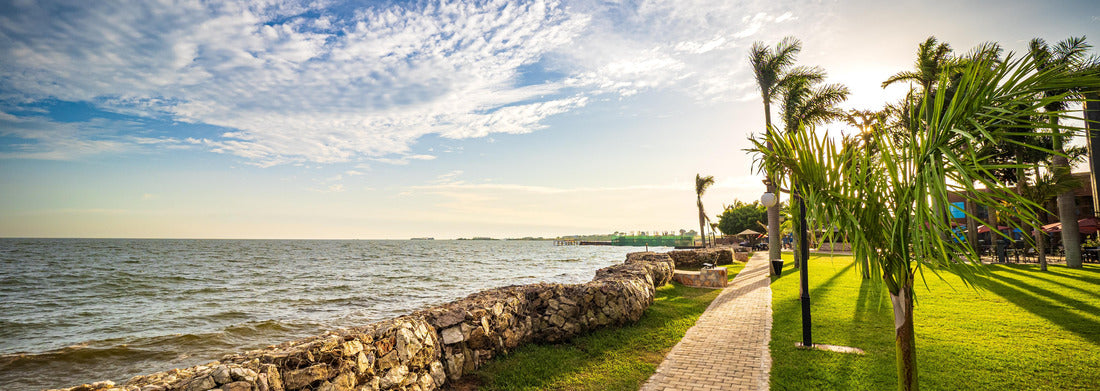 Noah Jigsaw Puzzle View of the path in a park on the shores of Lake Victoria in Entebbe, Uganda, at the last rays of the evening sun panorama 1000 pieces