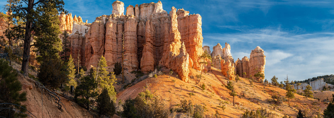 Noah Jigsaw Puzzle Landscape photograph of the Mossy Cave area of Bryce Canyon National Park in Utah at sunrise panorama 1000 pieces