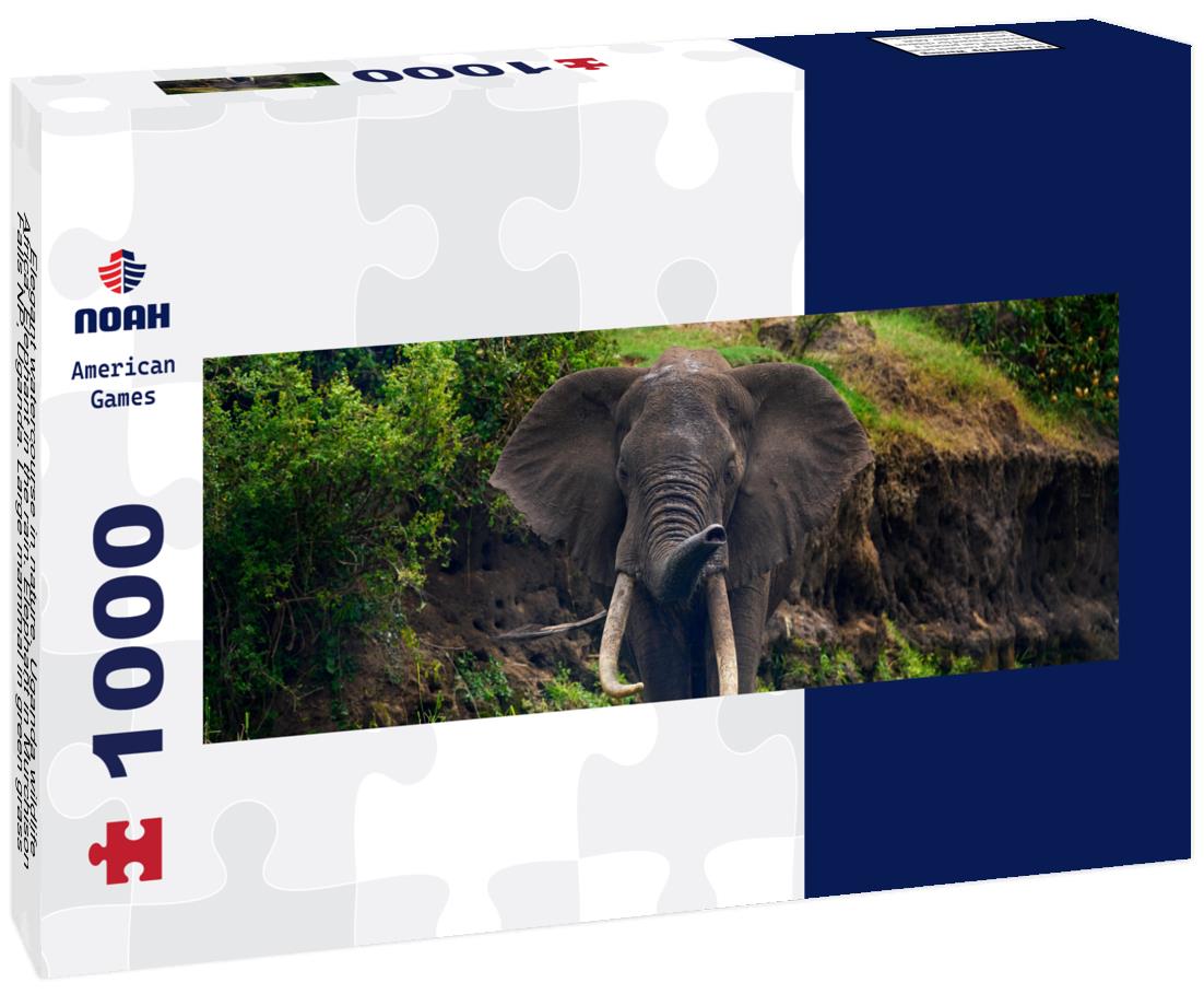 Noah Jigsaw Puzzle Elegant watercourse in nature. Uganda wildlife, Africa. Elephant in the rain. Elephant in Murchison Falls NP, Uganda. Large mammal in green grass, forest vegetation in background panorama 1000 pieces