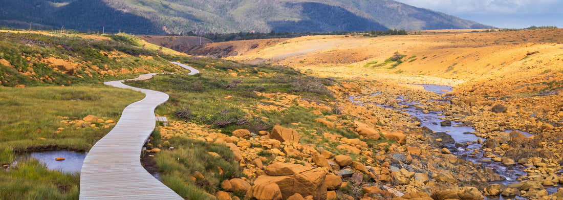 Noah Jigsaw Puzzle Boardwalk on Tablelands Trail, Gros Morne National Park, Newfoundland and Labrador, Canada panorama 1000 pieces