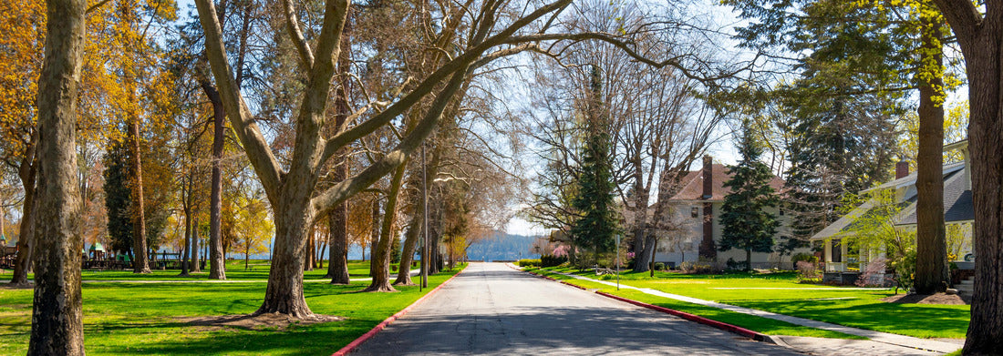 Noah Jigsaw Puzzle A tree-lined, shaded street of Victorian and historic homes across from the city park and lake in the historic Fort Grounds neighborhood of Coeur d'Alene, Idaho, USA panorama 1000 pieces