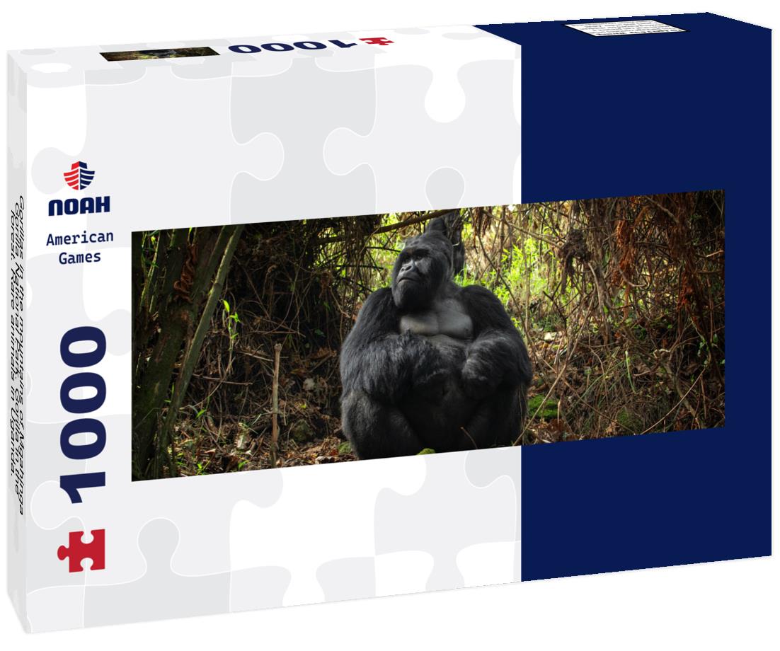 Noah Jigsaw Puzzle Gorillas in the mountains of Mgahinga Gorilla National Park. Gorilla in the forest. Rare animals in Uganda. Animals in their natural habitat panorama 1000 pieces