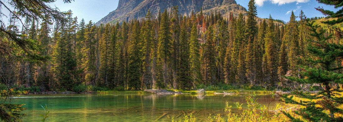Noah Jigsaw Puzzle Glacier National Park. American national park located in the state of Montana panorama 1000 pieces