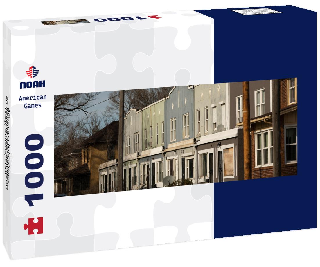 Noah Jigsaw Puzzle Afternoon light shines on housing near downtown Gary, Indiana, USA panorama 1000 pieces