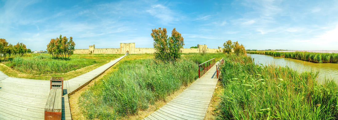 Noah Jigsaw Puzzle City wall of Aigues Mortes, Salt Lakes, France panorama 1000 pieces