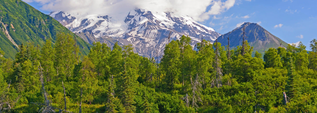 Noah Jigsaw Puzzle Glaciated Mt Redoubt Volcano Looming in the Distance over Crescent Lake in Lake Clark National Park in Alaska panorama 1000 pieces
