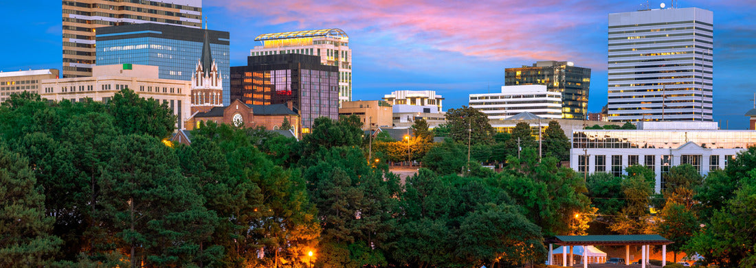 Noah Jigsaw Puzzle Columbia, South Carolina, USA downtown city skyline from Finlay Park at dusk panorama 1000 pieces
