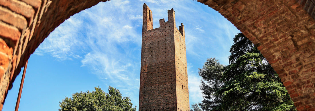 Noah Jigsaw Puzzle The Dona Tower (Torre Dona) in the city of Rovigo against the blue sky. Italy panorama 1000 pieces