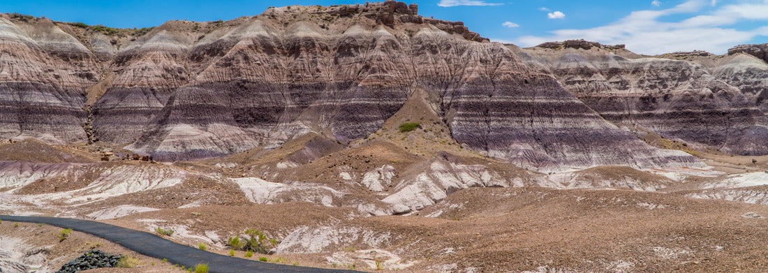 Noah Jigsaw Puzzle The Blue Mesa Trail inside Petrified Forest National Park, Arizona panorama 1000 pieces