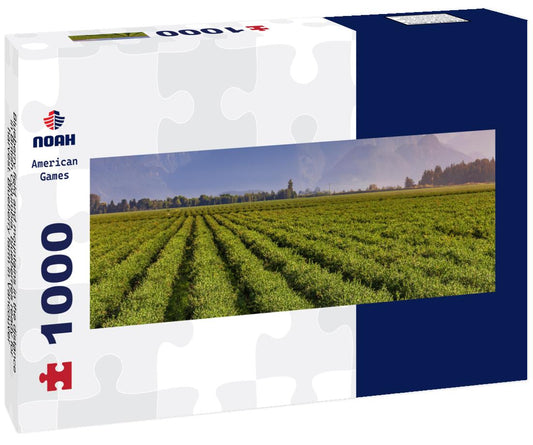 Noah Jigsaw Puzzle Blueberry field and mountains in the distance in British Columbia, blueberries ready for harvest. Blueberry farm in Vancouver panorama 1000 pieces