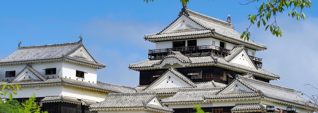 Noah Jigsaw Puzzle A castle tower of Matsuyama Castle in Matsuyama City, Ehime Prefecture, Japan panorama 1000 pieces