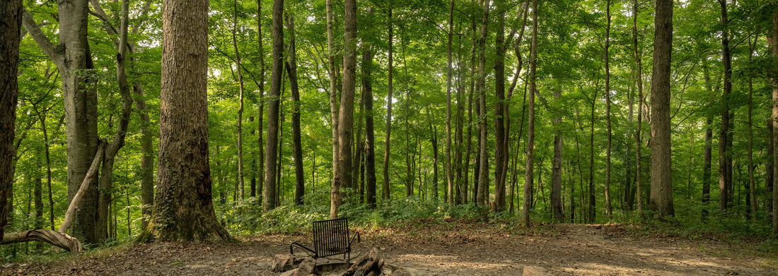 Noah Jigsaw Puzzle Empty campsite in Mammoth Cave National Park panorama 1000 pieces