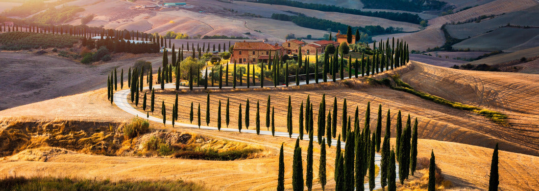 Noah Jigsaw Puzzle Well-known Tuscan landscape with grain fields, cypresses and houses on the hills at sunset. Summer landscape with winding road in Tuscany, Italy panorama 1000 pieces