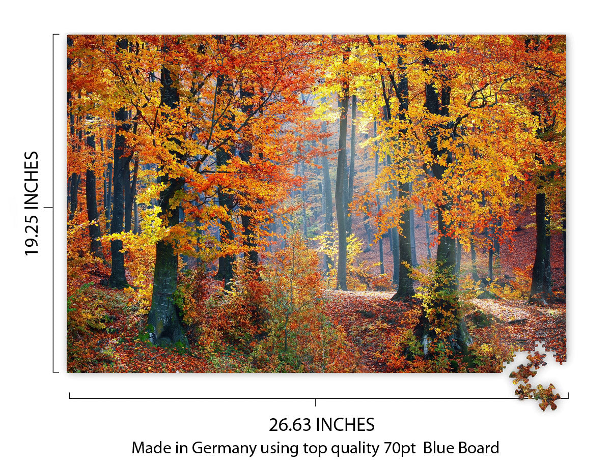 Autumn Forest Landscape