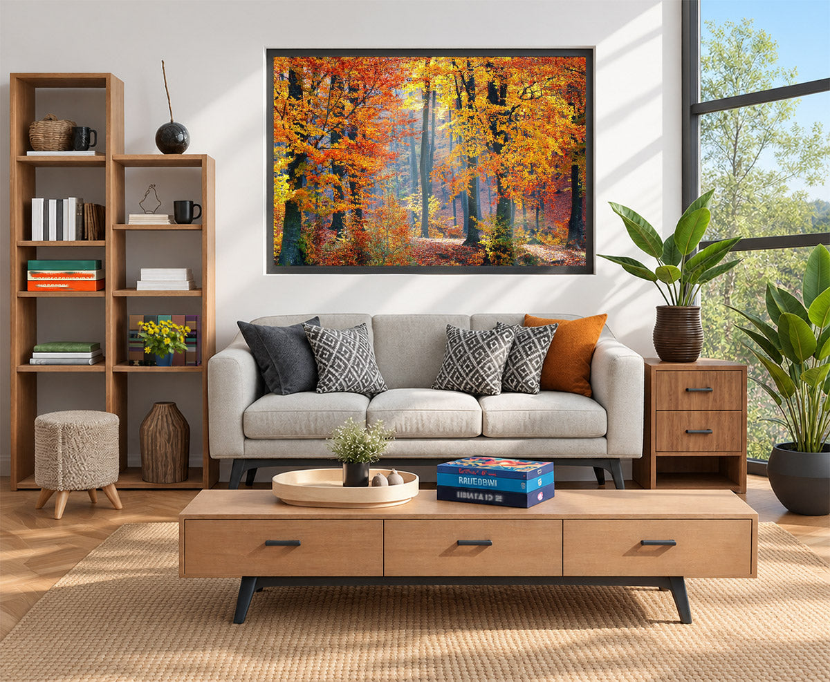 Autumn Forest Landscape