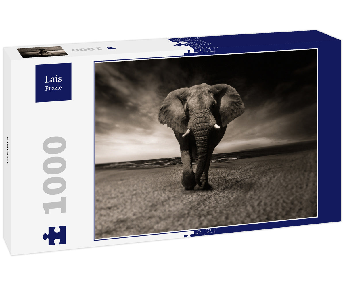 Elephant in Black and White