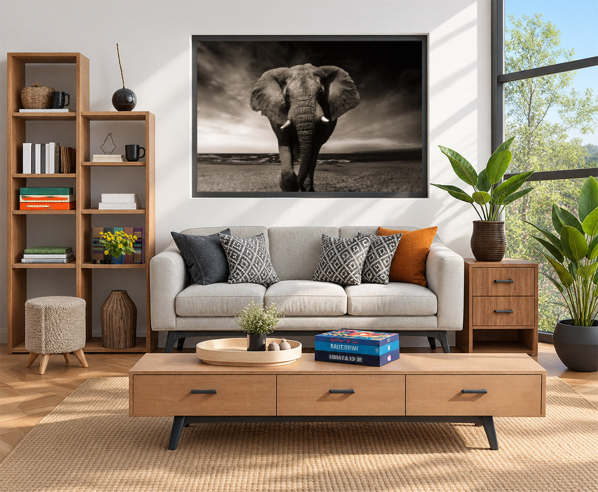Elephant in Black and White