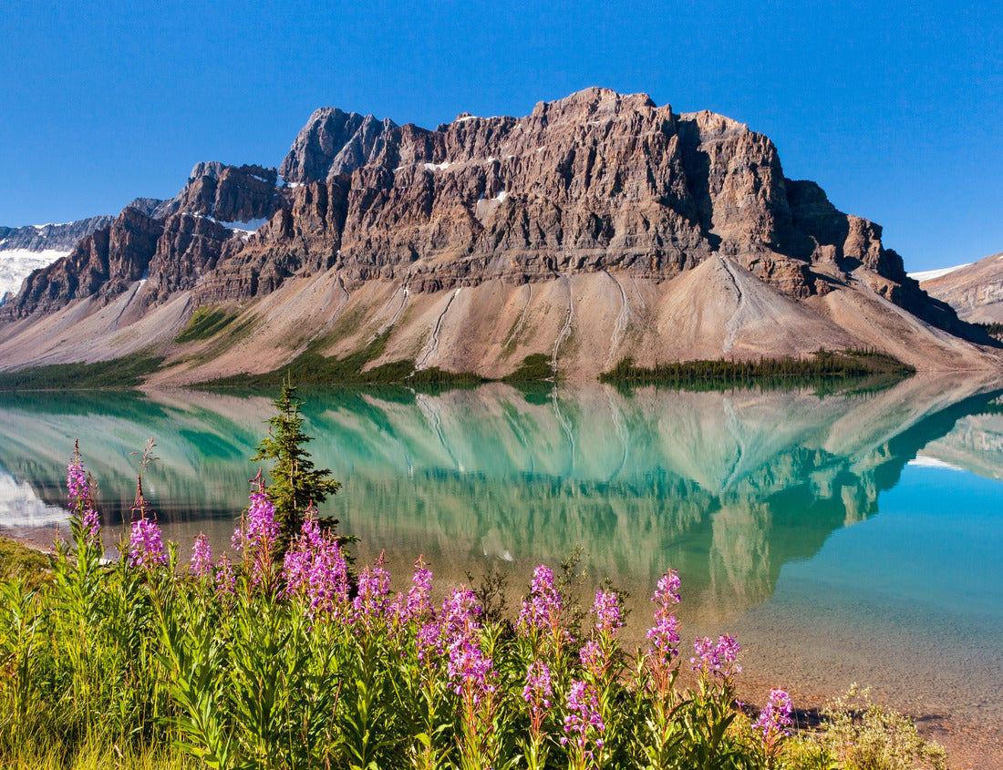 ImagiCan Jigsaw Puzzle Emerald Lake, Yoho National Park in Canada 1000 pieces