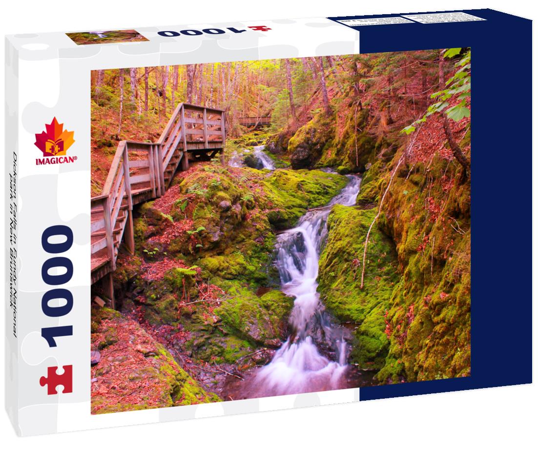 Dickson Falls in Fundy National park in New Brunswick 1000pc Puzzle