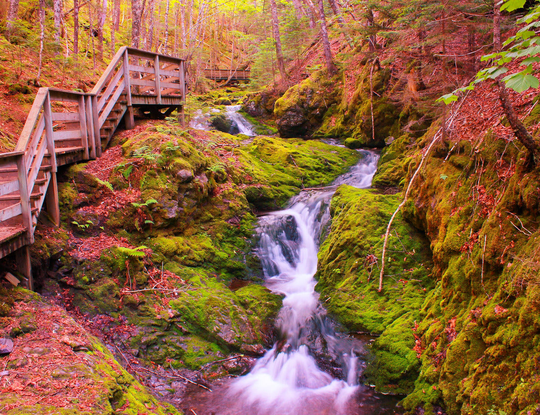 Dickson Falls in Fundy National park in New Brunswick 1000pc Puzzle