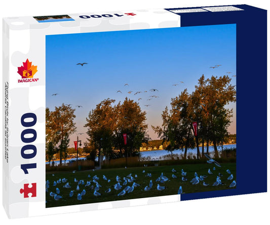 ImagiCan Jigsaw Puzzle Flying Birds by Sylvan Lake Alberta Canada at sunrise 1000 pieces