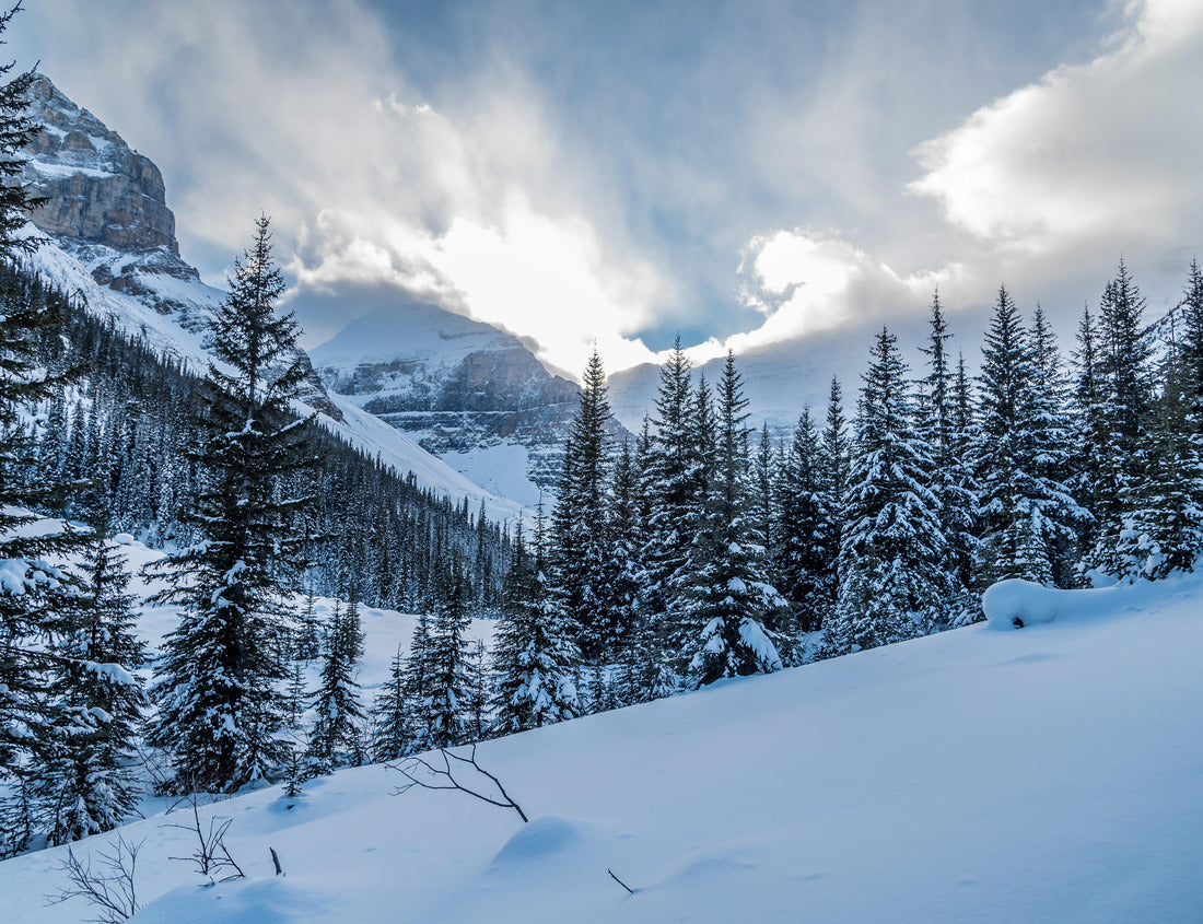 ImagiCan Jigsaw Puzzle Lake Louise in Banff Park in winter, Alberta, Canada 1000 pieces