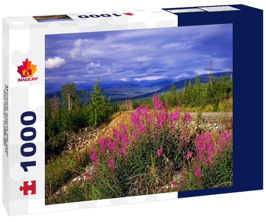 ImagiCan Jigsaw Puzzle Montreal across the river at sunset with city lights and urban buildings 1000 pieces