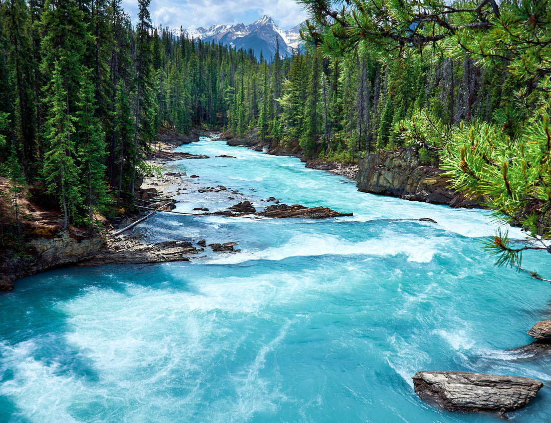 ImagiCan Jigsaw Puzzle Mountain Kicking Horse River in evergreen forest, Yoho National Park, British Columbia 1000 pieces