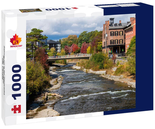 ImagiCan Jigsaw Puzzle Salmon run in the Ganaraska River. Port Hope, ON. Canada 1000 pieces