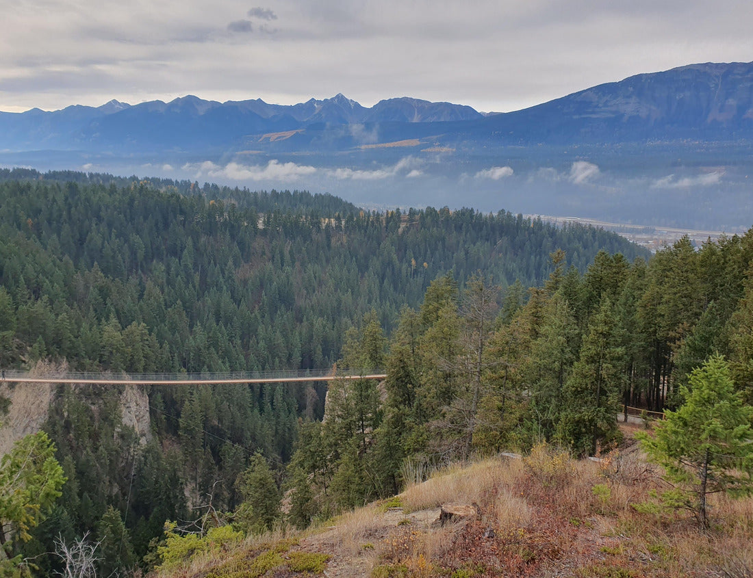 ImagiCan Jigsaw Puzzle Sky Bridge Golden British Columbia Canada 1000 pieces
