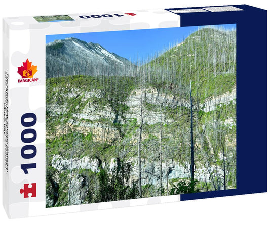 ImagiCan Jigsaw Puzzle The scenic view through Waterton Lake National Park on a beautiful cloudy day 1000 pieces