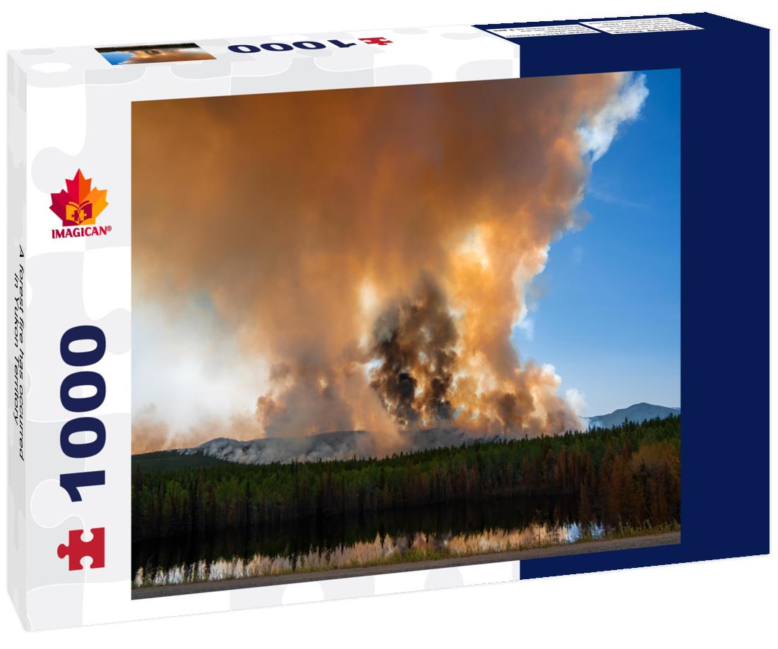 A forest fire has occurred in Yukon Territory 1000pc Puzzle