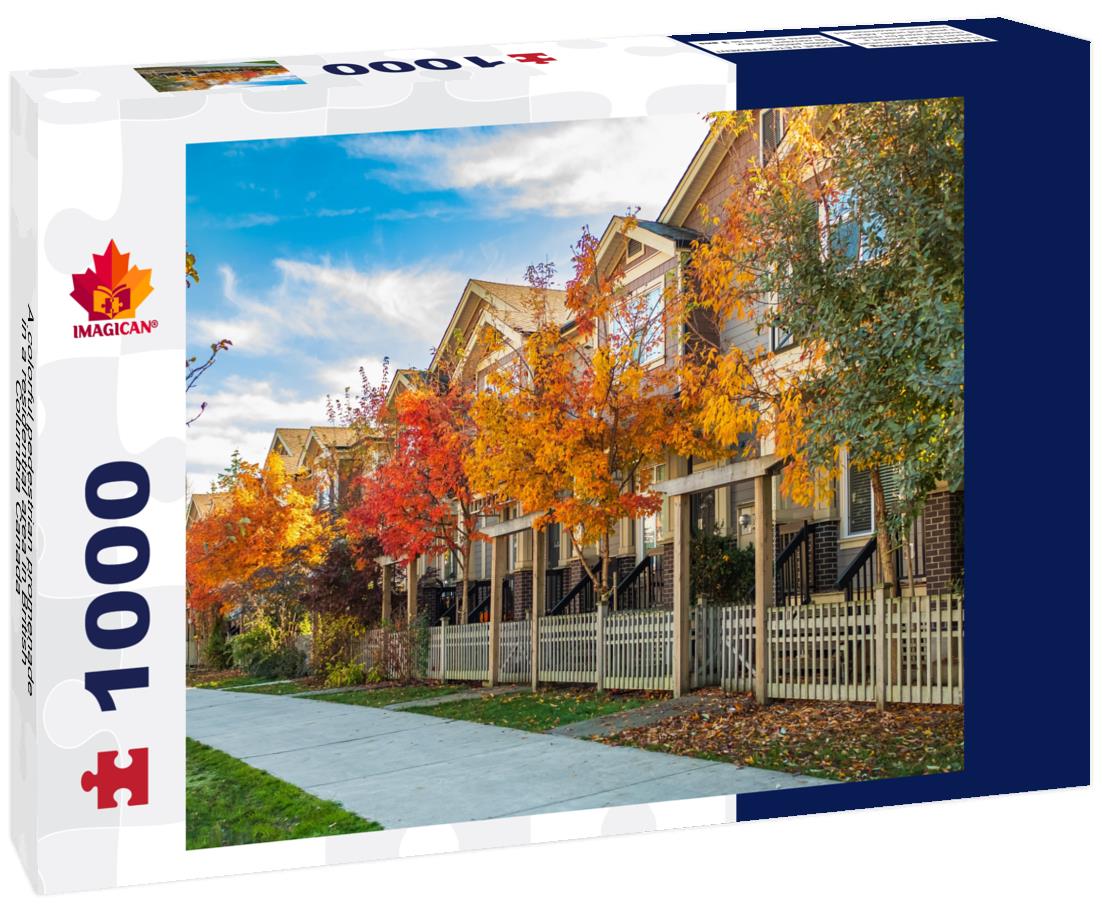 A colorful pedestrian promenade in a residential area in British Columbia Canada 1000pc Puzzle