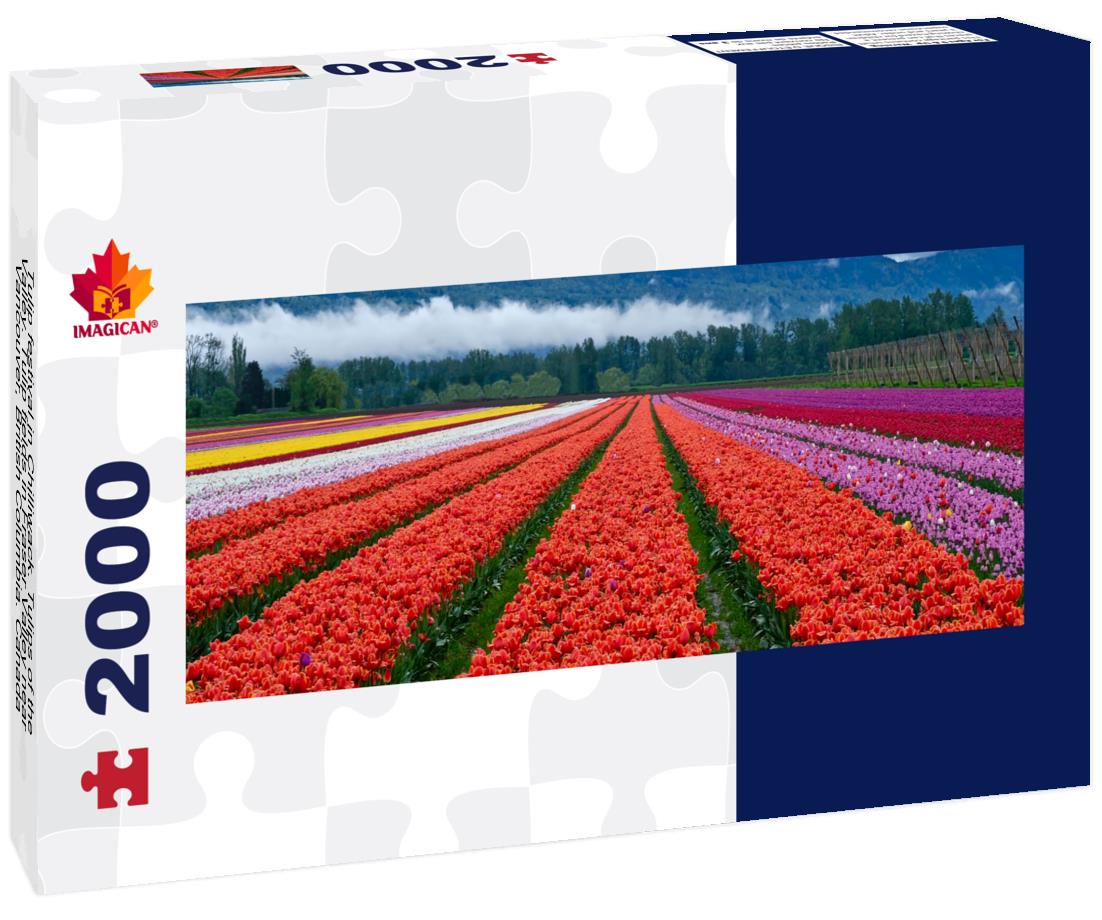 Tulip festival in Chilliwack, Fraser Valley near Vancouver, British Columbia 2000pc Panoramic Puzzle