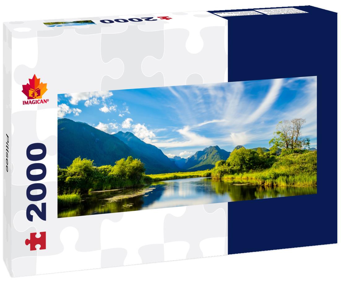 Pittsee 2000pc Panoramic Puzzle