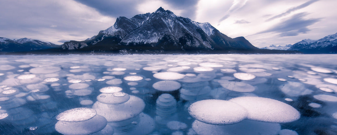 Ice formation bubbles on Abraham Lake 2000pc Panoramic Puzzle