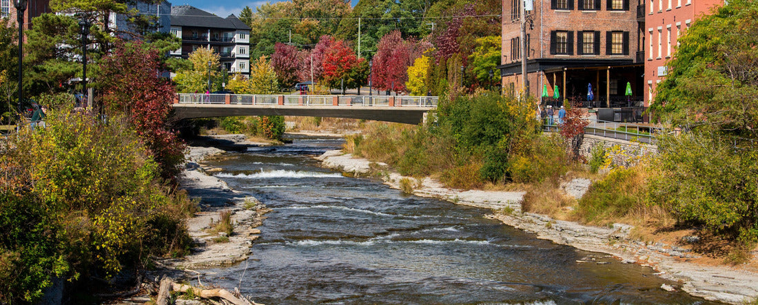 Salmon run in the Ganaraska River. Port Hope, ON. Canada 2000pc Panoramic Puzzle