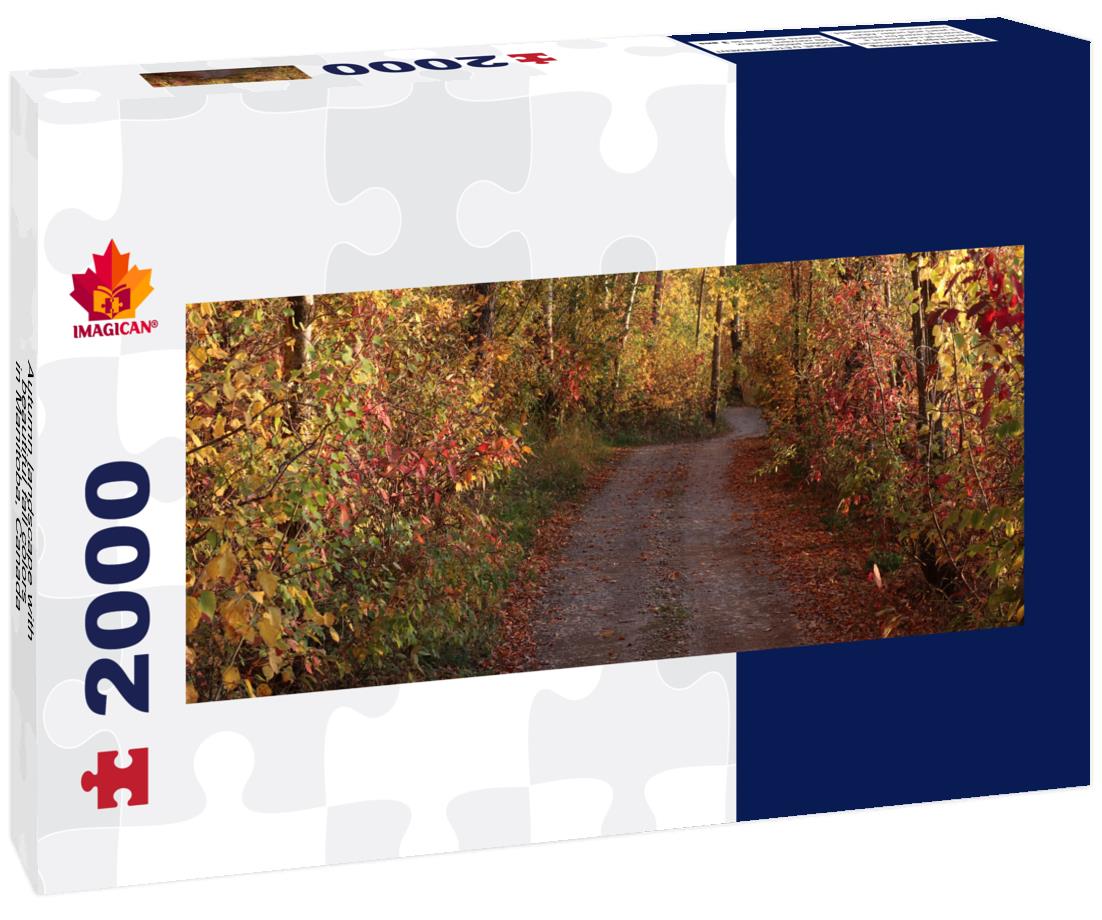 Country lane in fall with beautiful fall colors in Manitoba, Canada 2000pc Panoramic Puzzle