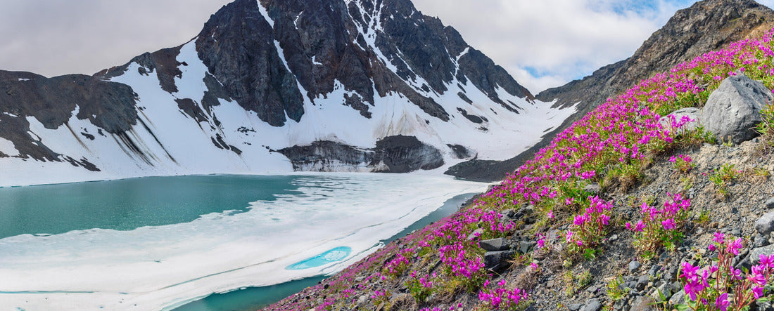 Incredible natural landscape in the Yukon Territory, Canada near Alaska 2000pc Panoramic Puzzle