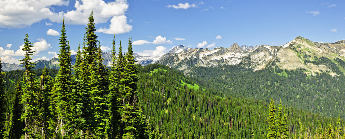 from Mount Revelstoke of rocky mountains in British Columbia 2000pc Panoramic Puzzle