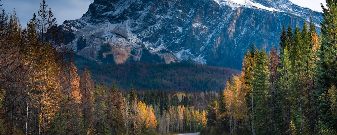 Morning on the road to Jasper, Alberta 2000pc Panoramic Puzzle
